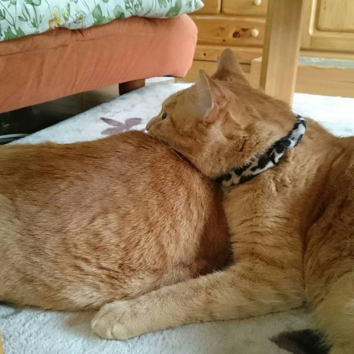 A44a3e04 9a65 45e6 9fef 5fa79afc9a22 1543725239531