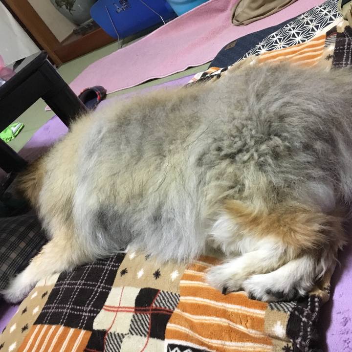 A44a5205 2fcd 4747 a9b7 fd7727b1af55 1578873682413