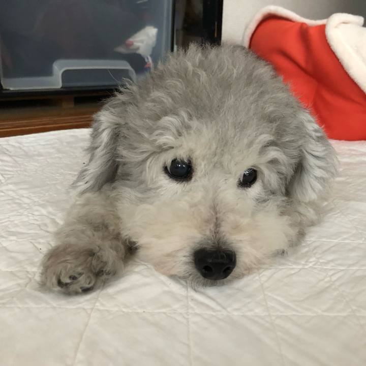 A44a6054 2ebb 43b8 a0e8 968194e07f37 1715681488319