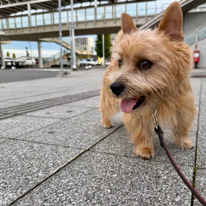 A44a7d2b c5e3 4eab 94f4 2c607d32ebc6 1760868034135