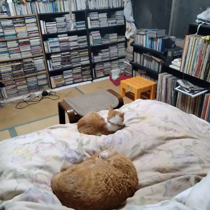 A44a8fa9 b822 431f 85f7 90c9aa970e1c 1732276046776