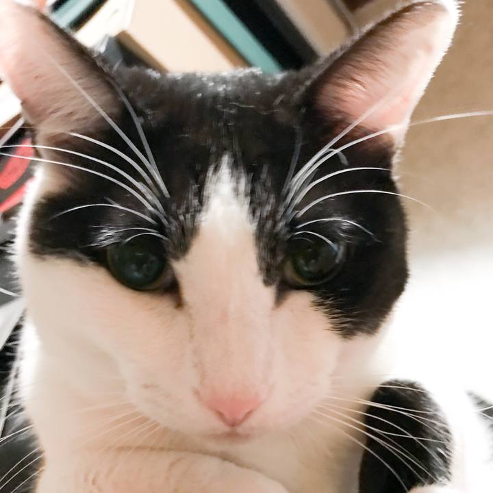 A44acde0 b748 4180 b9b3 872de4a8a0c2 1523630263382