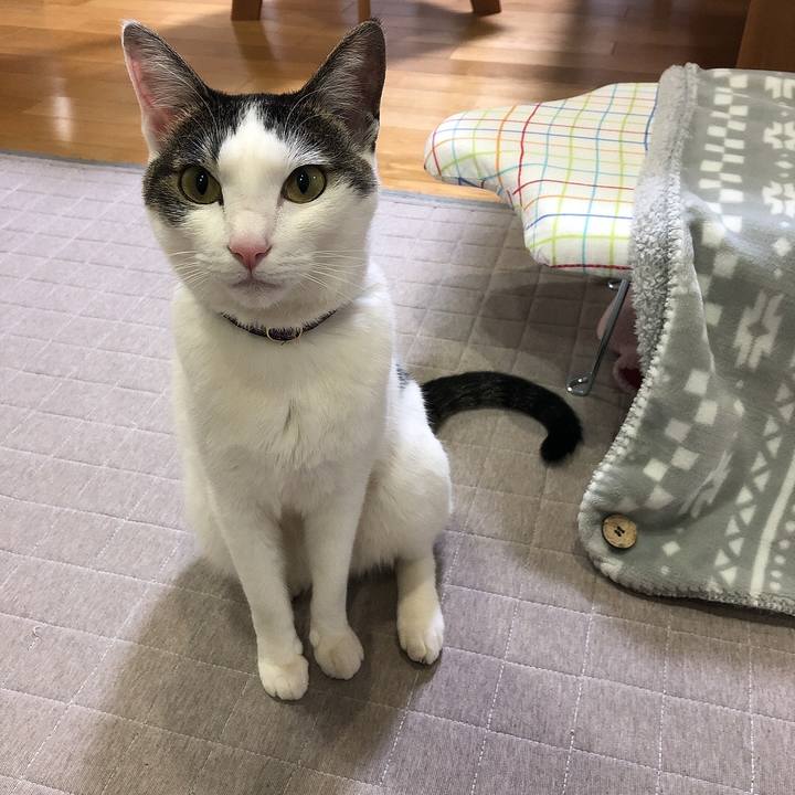 A44aefc2 1712 4dfe 8c28 aa21c22e13bf 1644322433135