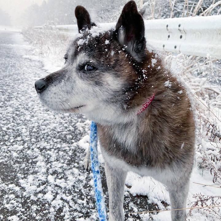 A44b0d23 fc51 4fbc afcd 0e023ad2dc86 1711059639990