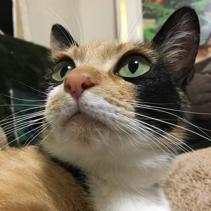 A44bd881 6f58 473c 9963 918ae566d931 1517650373827