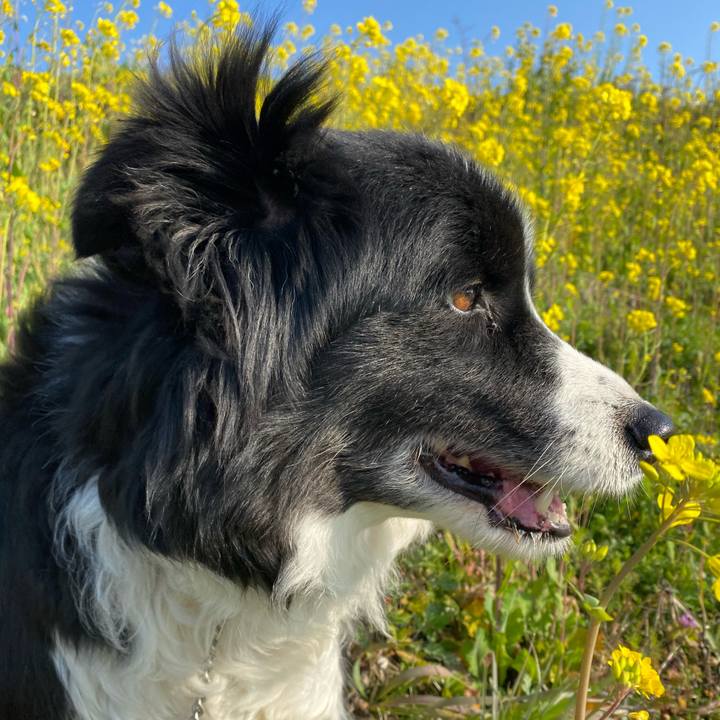 A44c6455 ba4b 4264 b742 f0e3906492c7 1613867749995