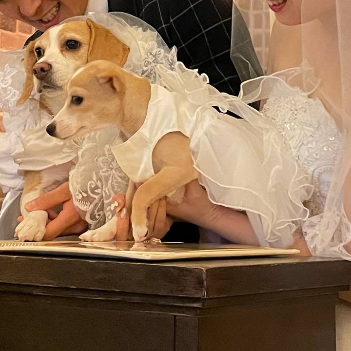 A44c75de c1a5 4acf b73e 6076f9ddc787 1668868272373