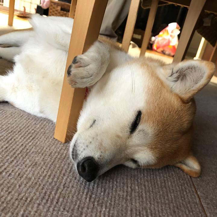 A44ca0e4 3d02 40fb b739 f8a9d6ab67ca 1580433467102