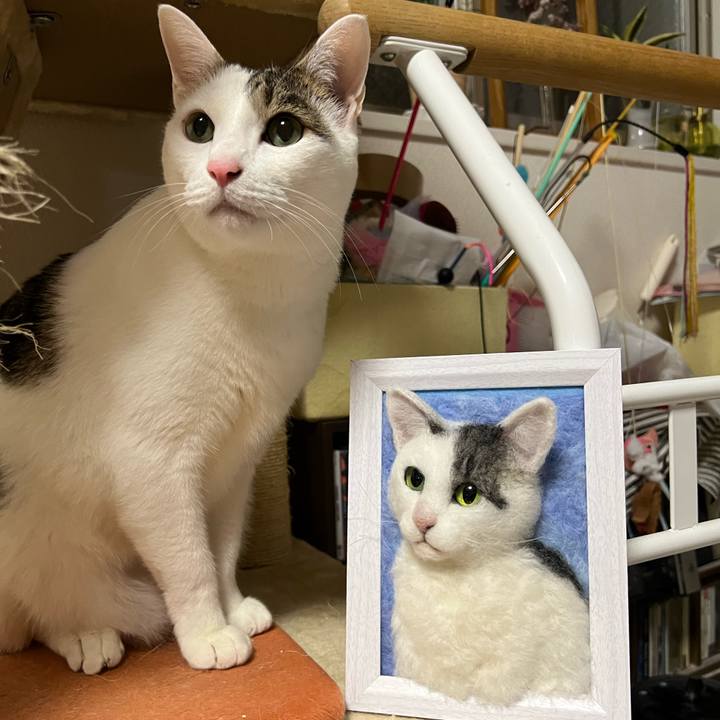 A44cb6a6 92cb 4c7f 8d1a 3ea5d8c72101 1700486267434