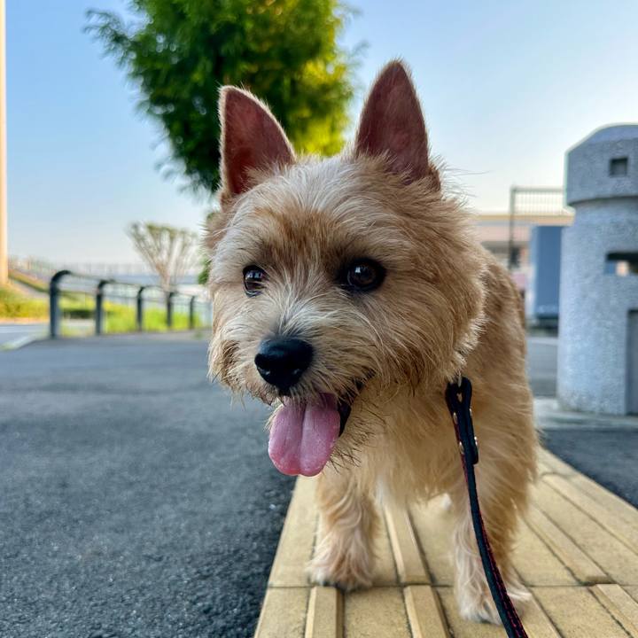 A44d0510 57ed 406b 89ca 6833b0f51d3f 1756706364365