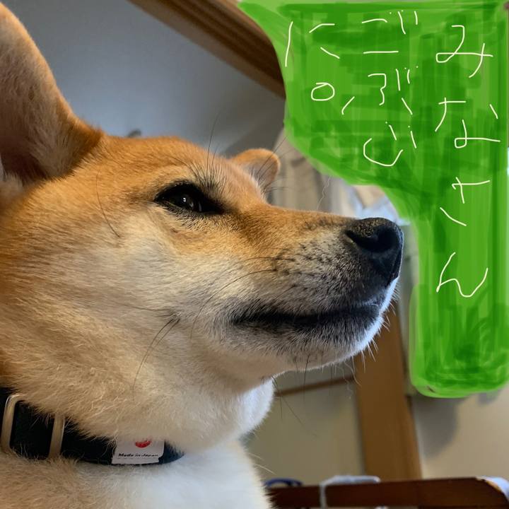 A44d311c 02af 49cf bc93 d0d94813c1b9 1570863552584