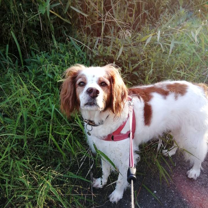 A44d3722 7adc 43ea 8813 5f4cc58acce8 1633175139897