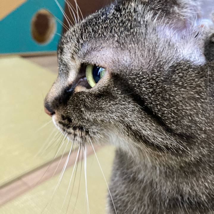 A44d5a92 a5ef 453e 899f db53385691ed 1769907154638