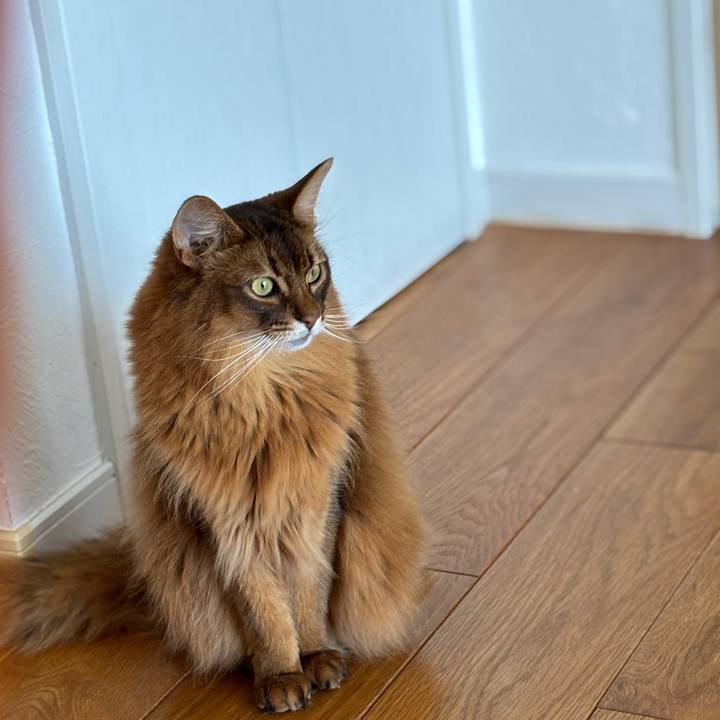 A44d71bf f320 41cb b1cc 455e732d826e 1750549486883