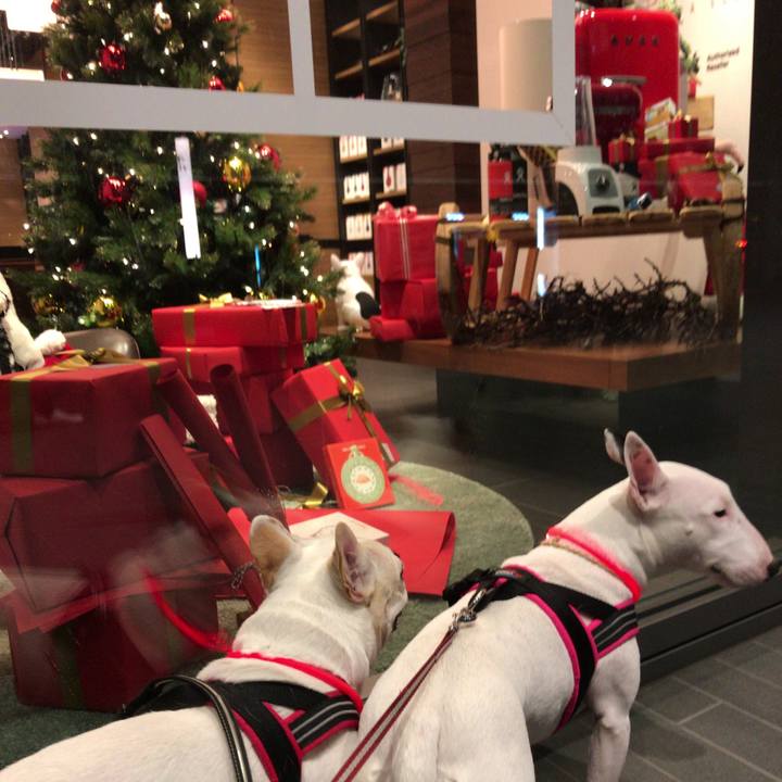 A44d77dc 12e9 4b01 8e14 9c108fa6bb66 1513825583474