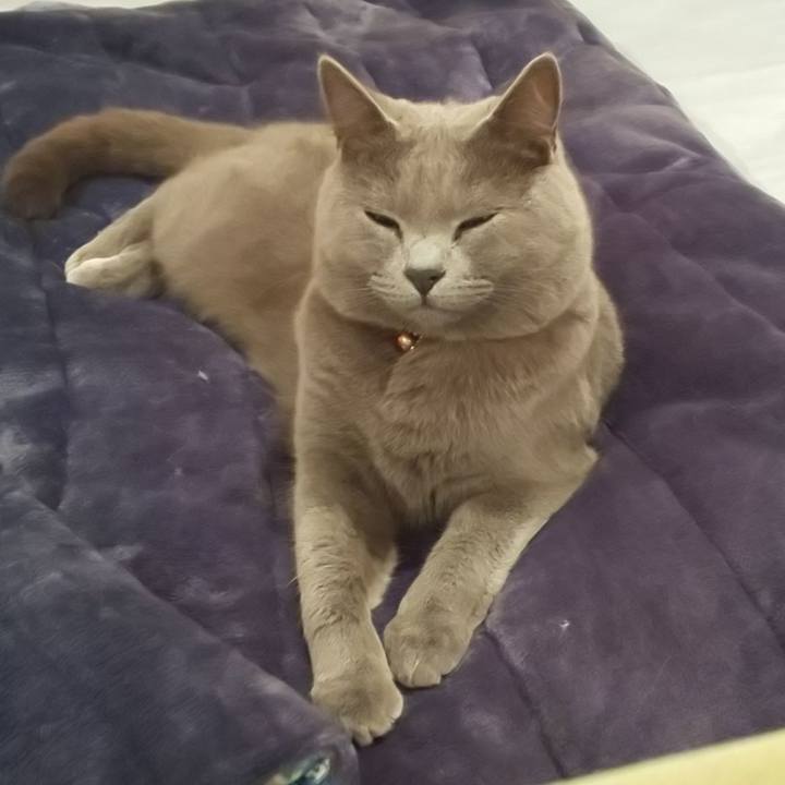 A44d817b 6b20 49df 9995 5062a30cd154 1539729774348