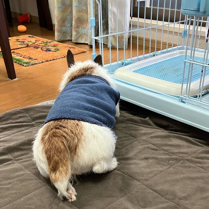 A44d9de3 e651 415d a807 bfcd36567ba4 1681612521109