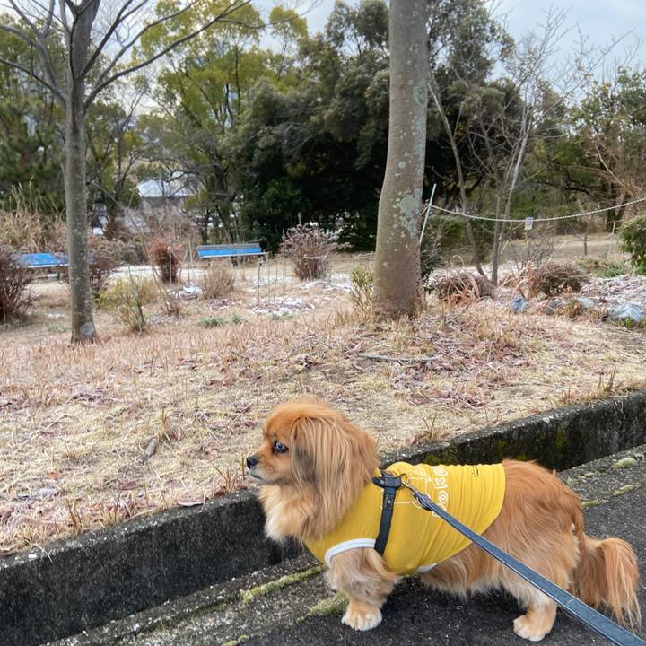 A44da617 c221 4a61 ac19 68ea4644f0b6 1644187965543