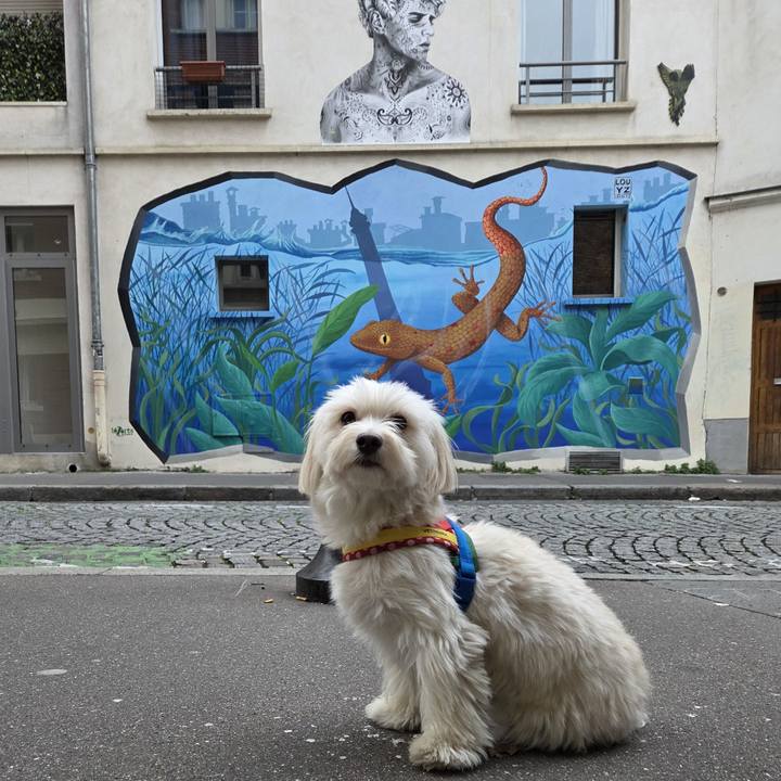 A44dd353 cdfb 45d3 89cf c3911ae37361 1766697912904