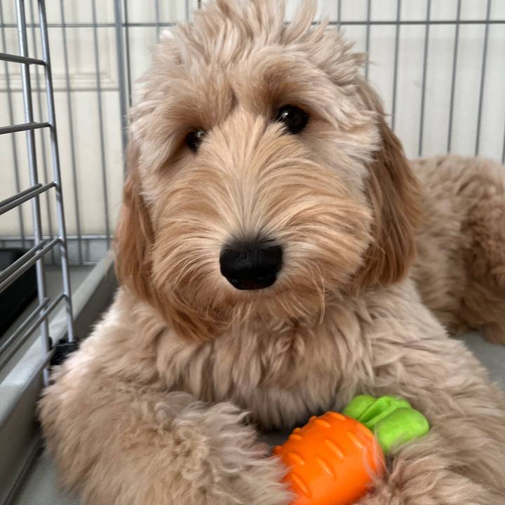 A44e10d7 1ebf 4230 a233 61d00a413e84 1697500239586