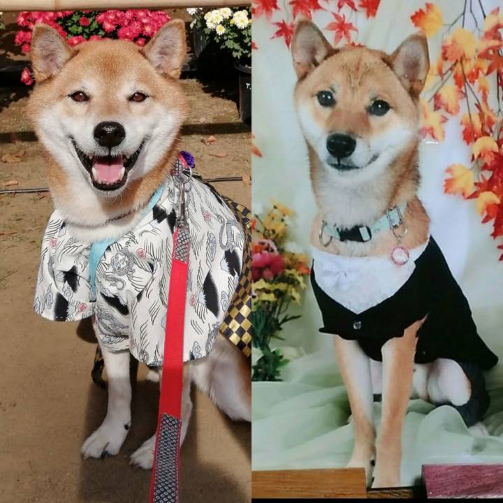 A44e4f60 f719 4fe5 ba00 5afde36221e9 1669086017888