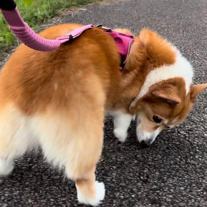 A44e52e7 5024 44fb 93fd 67d912077a53 1730275421019