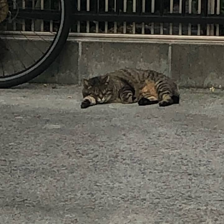 A44e5720 3ea8 46f2 89e2 6940f713bb64 1591088323831