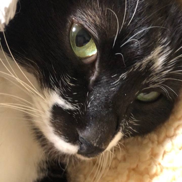 A44ea4a1 53dd 4c1b b72a 20911090bb35 1645699220206