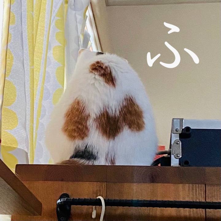 A44ea4e1 609b 4cdb 9fbe d5cd0c8710e8 1619926699180