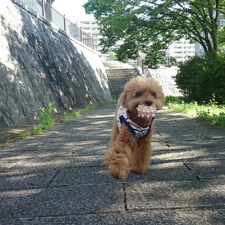 A44eb0b0 0c61 46a4 be8f c760a77f57b8 1535154656674