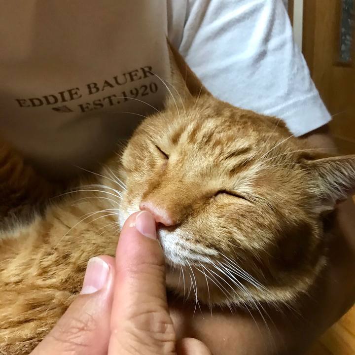 A44ef2d5 3a7b 43ee 9f50 e8d15cfee759 1533814096301