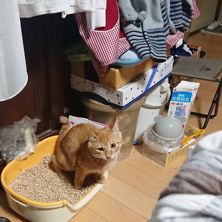 A44f0a94 20e3 4256 b452 12cde8c406a6 1635366294565