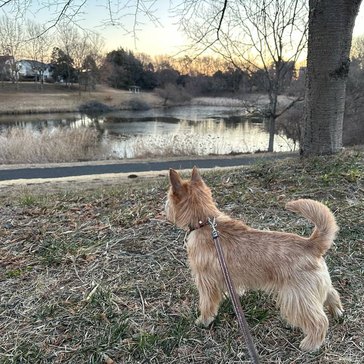 A44f0c95 9c94 4dc2 99ba 350a9ff14bfd 1739174092712