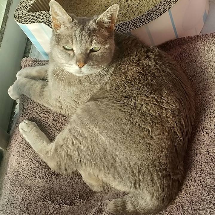 A44f3215 9e73 4df7 98c7 4fa22c8fb182 1683067495940