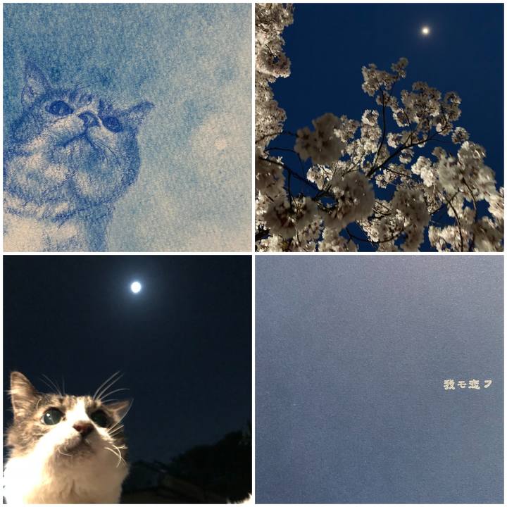 A4501407 f892 41ad ba0b ea445ea7c9c5 1617514351223