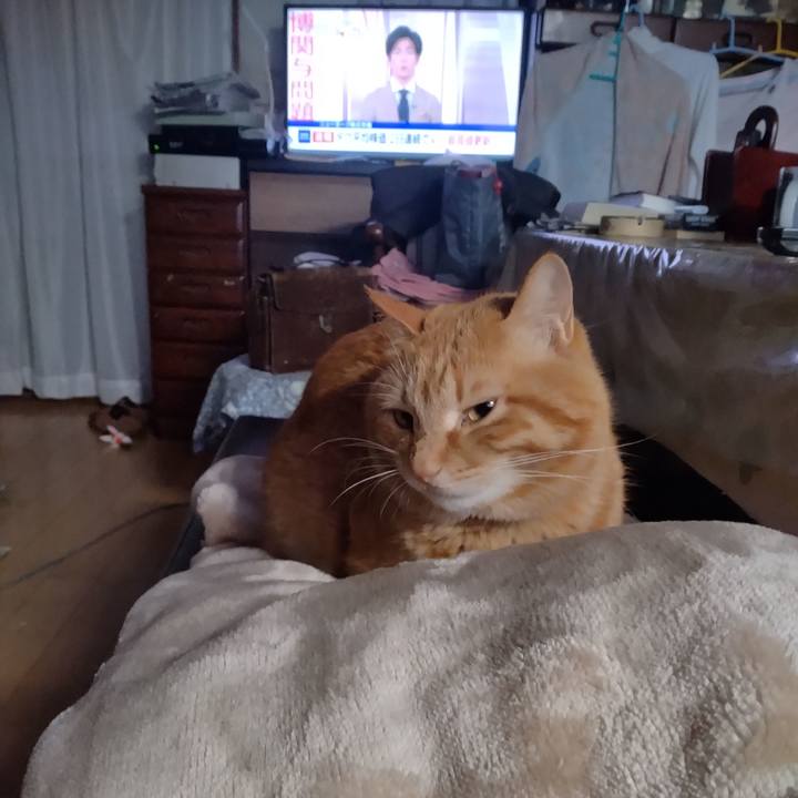 A4502d80 2a44 46cc aaae 12bf9351b9da 1711058202694