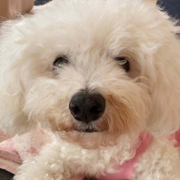 A4503839 c861 40b7 9f93 bc1b8783f9eb 1729472015993