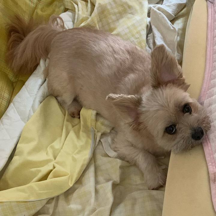 A4507027 4799 49bb a3b6 7aa53b4f91f7 1602421171651