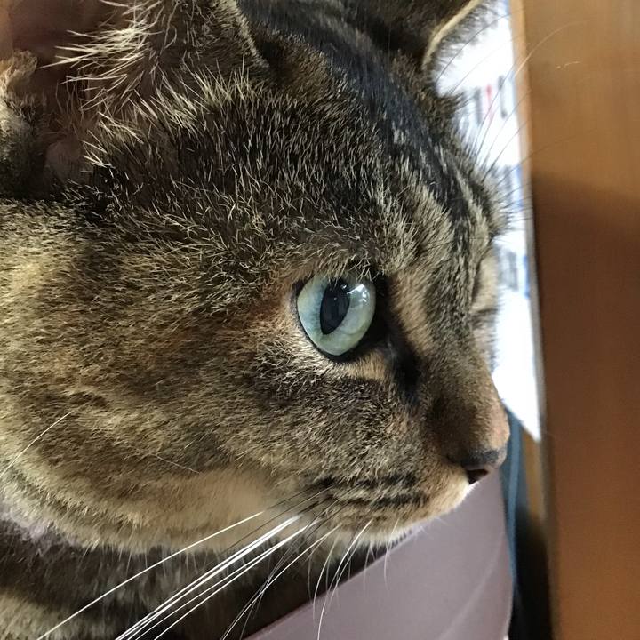 A451071f c41e 4f21 9ba3 1402f019a220 1660384095649