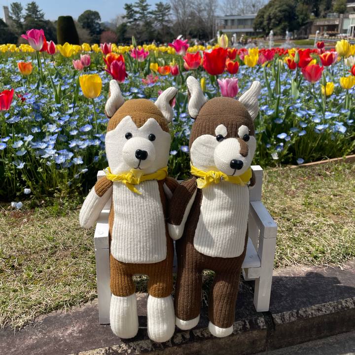 A45113d3 412b 4696 a390 53946f39eb8f 1712453794449