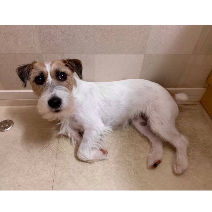 A45157ad a943 4c24 8099 80930f4cc415 1629157065891