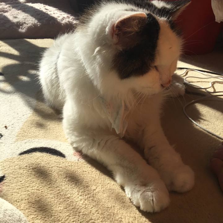 A4517bc0 efad 4bbf 91c9 1ffda0ee3ad0 1579495210193