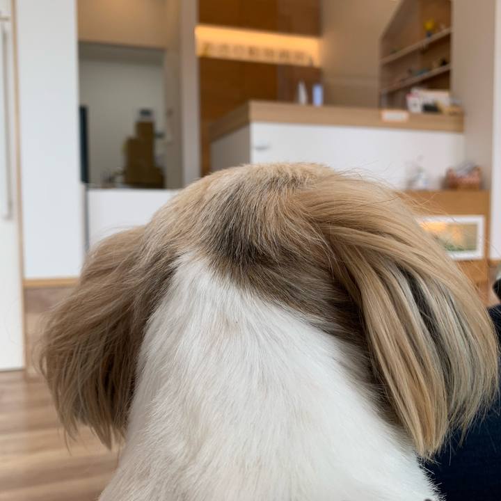 A4518529 165b 4562 be5b deee407ba14d 1623457730398