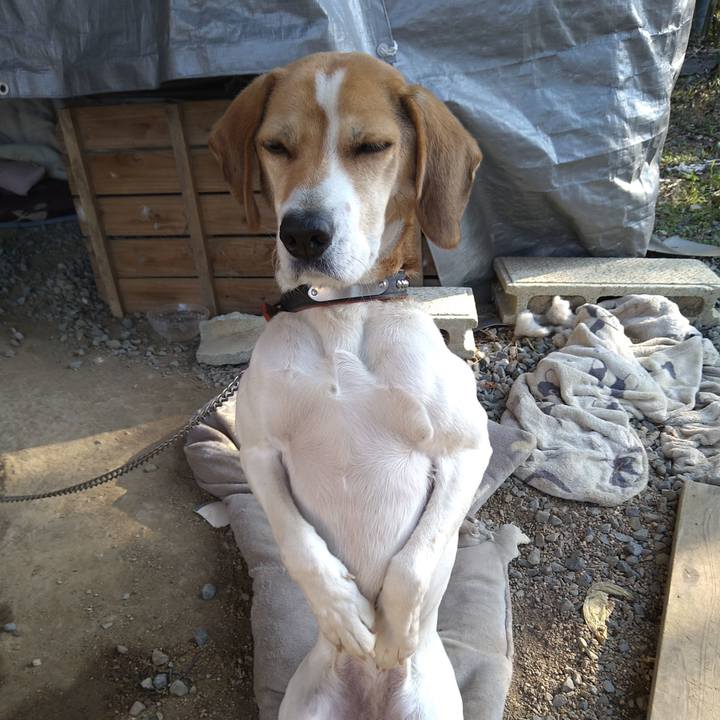 A4518577 d196 41c8 a6c8 fb83d07123c5 1642834600963