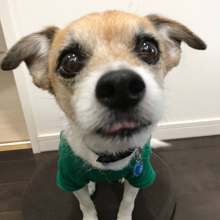 A4519b8d a9f3 4b41 94eb 093ce66e5f47 1588304729060