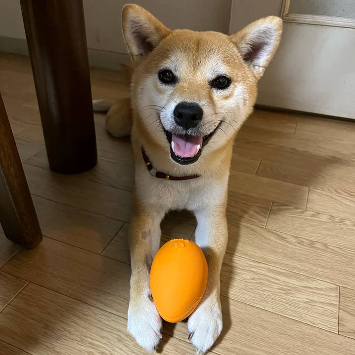 A4519f56 0969 4347 bf81 587f037be8ab 1659937425956