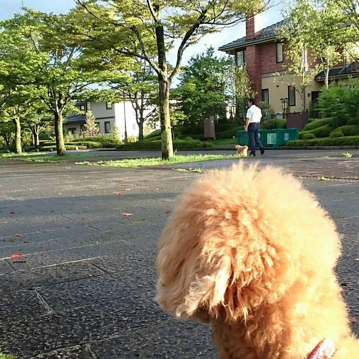 A451f9bf 2bd5 4e07 8d3f 2a05e03a7609 1535668323329