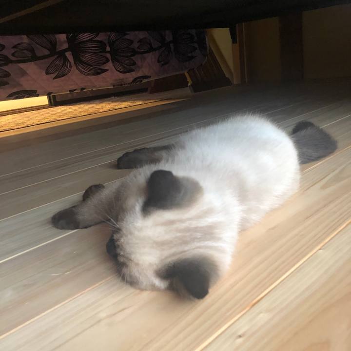 A451fca7 4f8c 4ae6 b086 7293117a4231 1590484274568