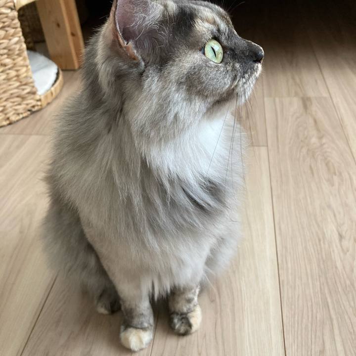 A4521ed4 5ff6 4732 8dec 0fb21e6dbbdd 1758500394866