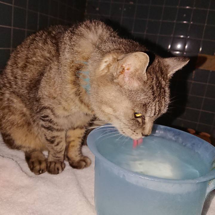 A4522d9b b972 454b b743 f1f4d1f9e56a 1571219520713